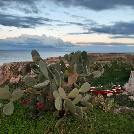 Apartment Vento Del Sud - Relax E Mare Monopoli