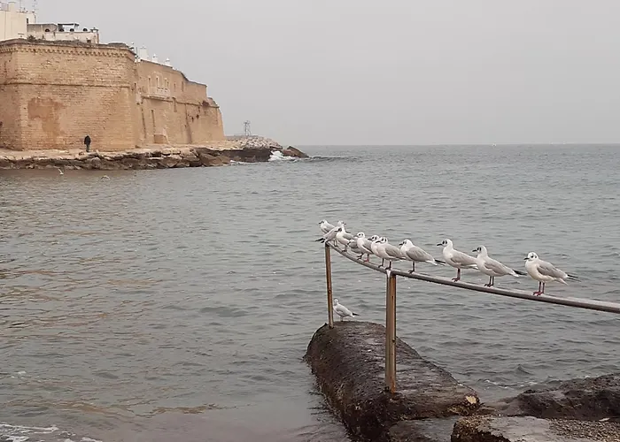 Vento Del Sud - Relax E Mare Apartment Monopoli